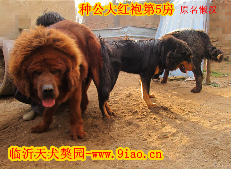 �ֹ�������ۡ�������