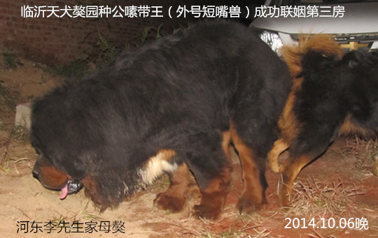 ��ĸ�����ֹ���༴�����