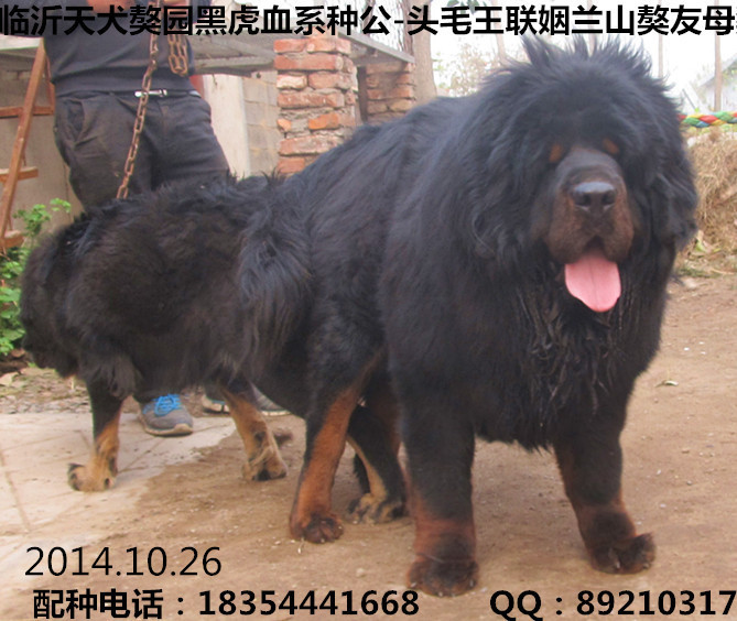 ĸ���������ֹ���ͷë����