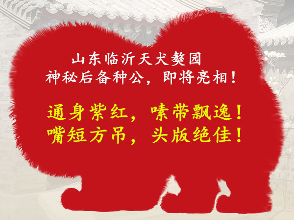 ��԰���غ��ֹ����ἴ�����࣡