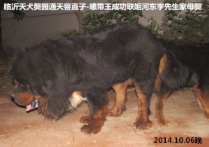 �ֹ�����-༴���-������