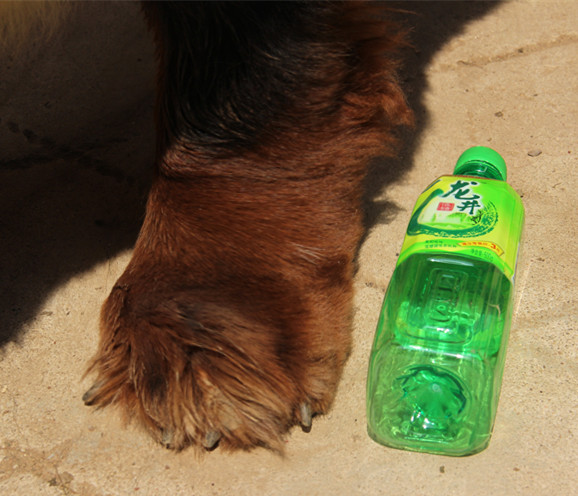 ����Ѫϵͨ����ֱ��༴���